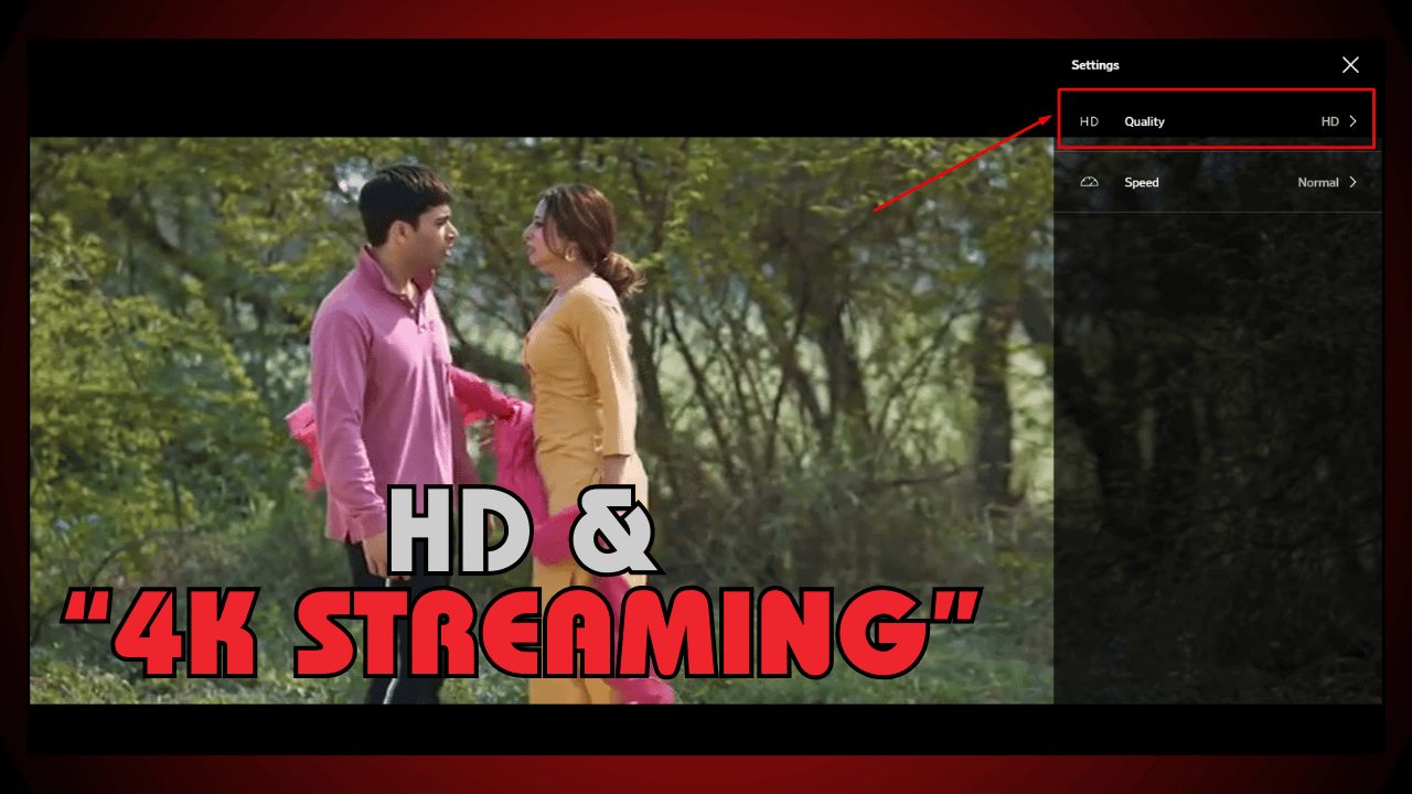 High-Quality HD and 4K Streaming Options