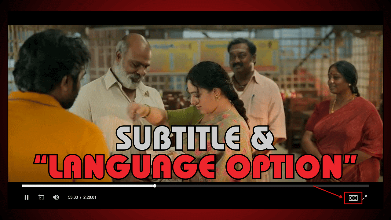 Subtitle and Language Options for Everyone